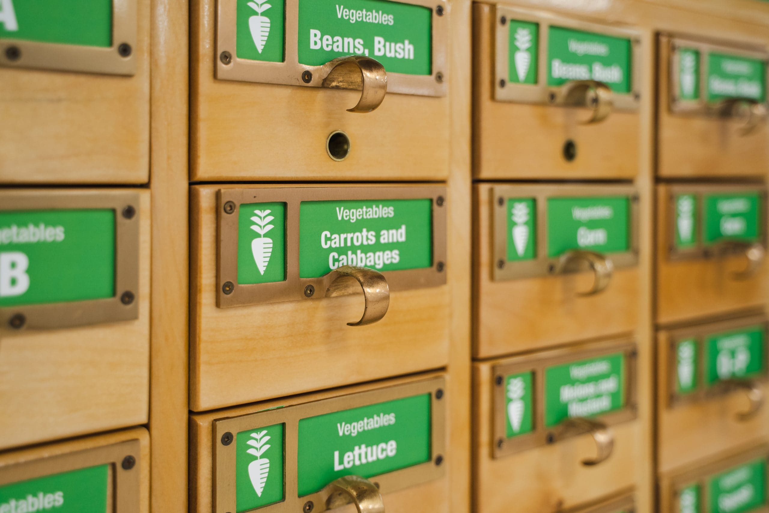 Photo of the drawers that hold the seed at The Seed Library