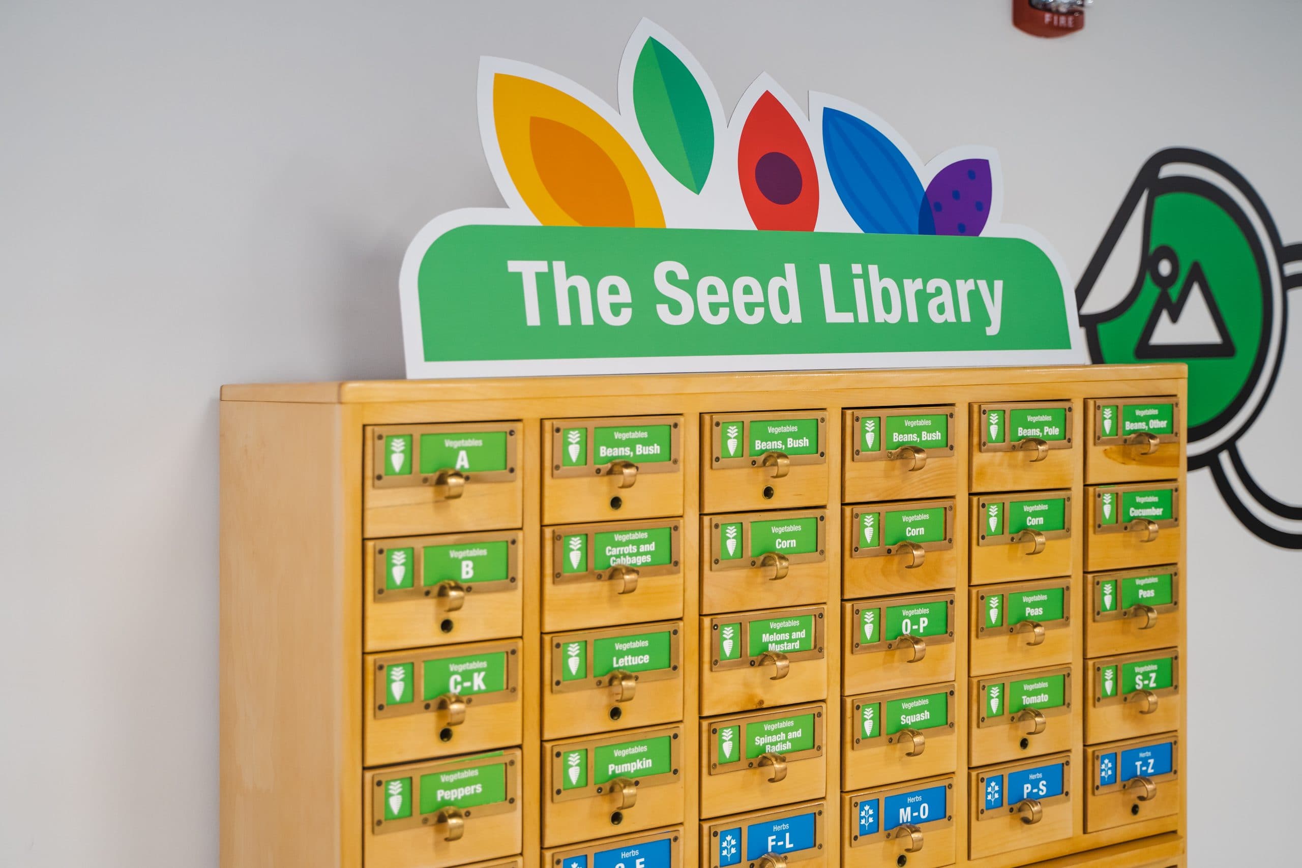 Photo of The Seed Library which is housed in an old card catalogue